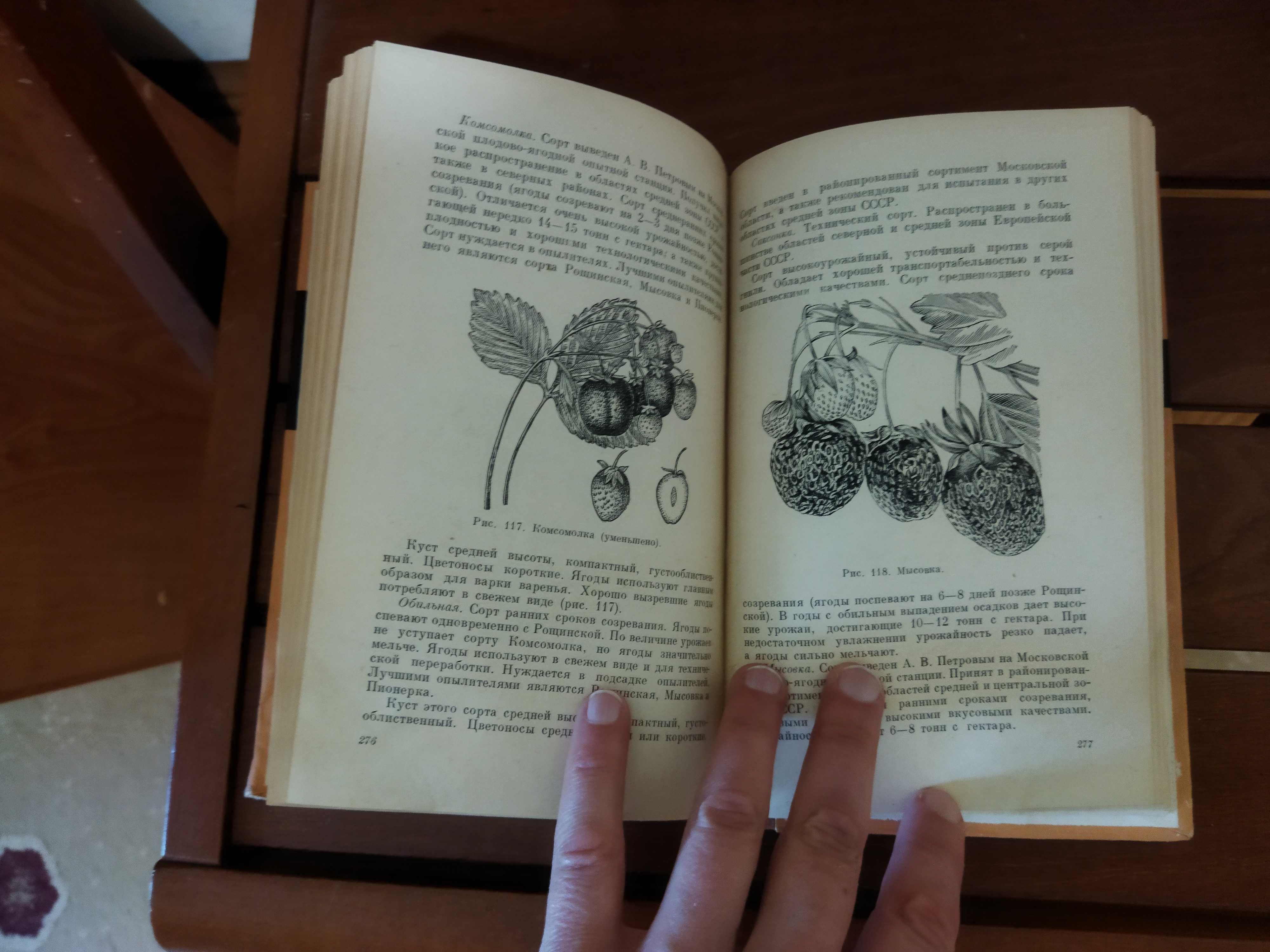 Плодоводство и ягодоводство.  В. А. Колесников. 1959 г.