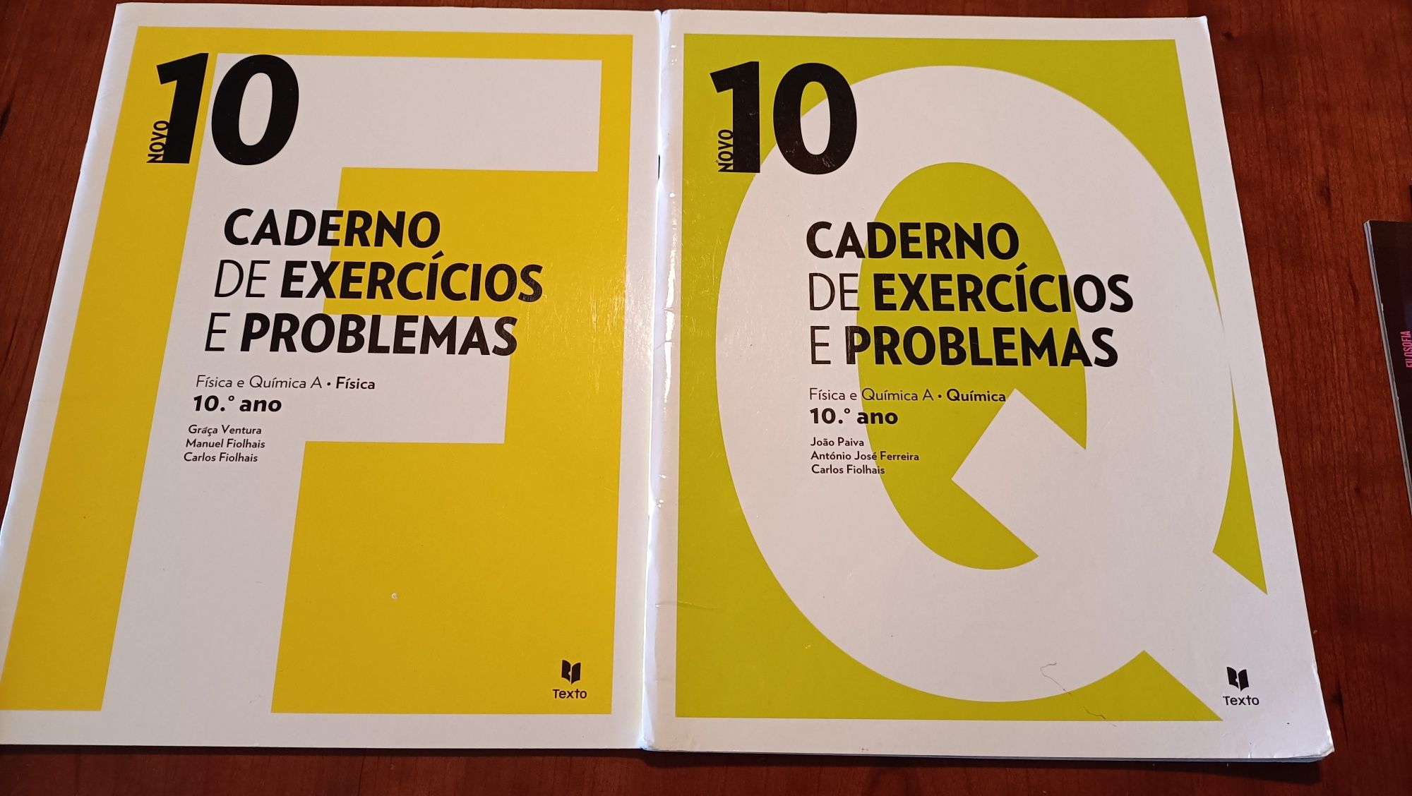 Cadernos de Exercícios 10 ano