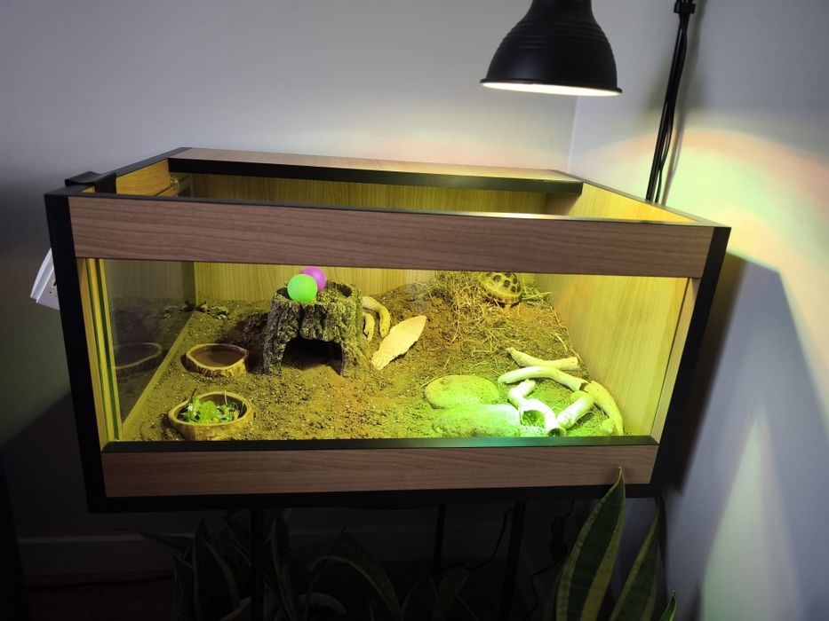 Terrarium dla żółwia