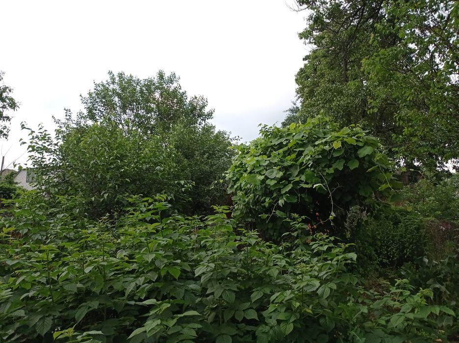 Половина дома с приватизированной землёй