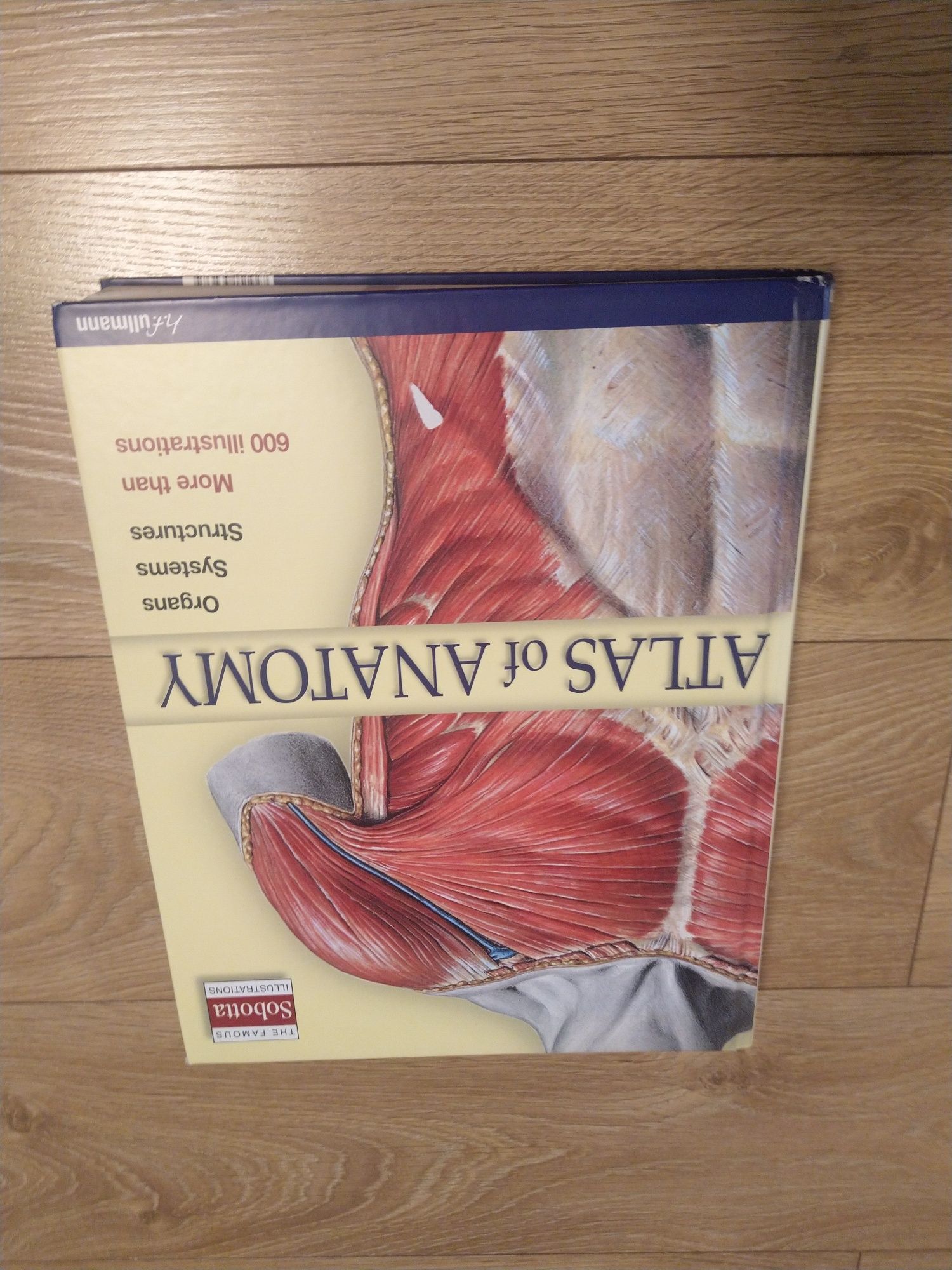 atlas of anatomy ullmann