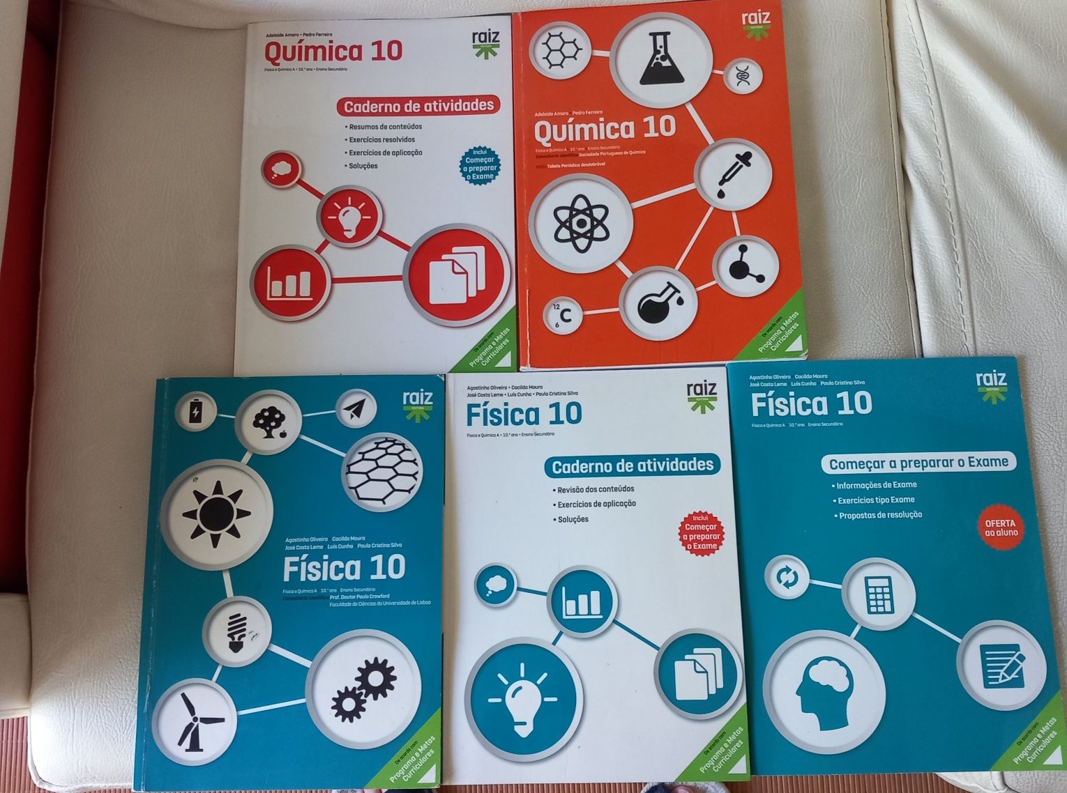 Manuais 10°ano Física e Química A