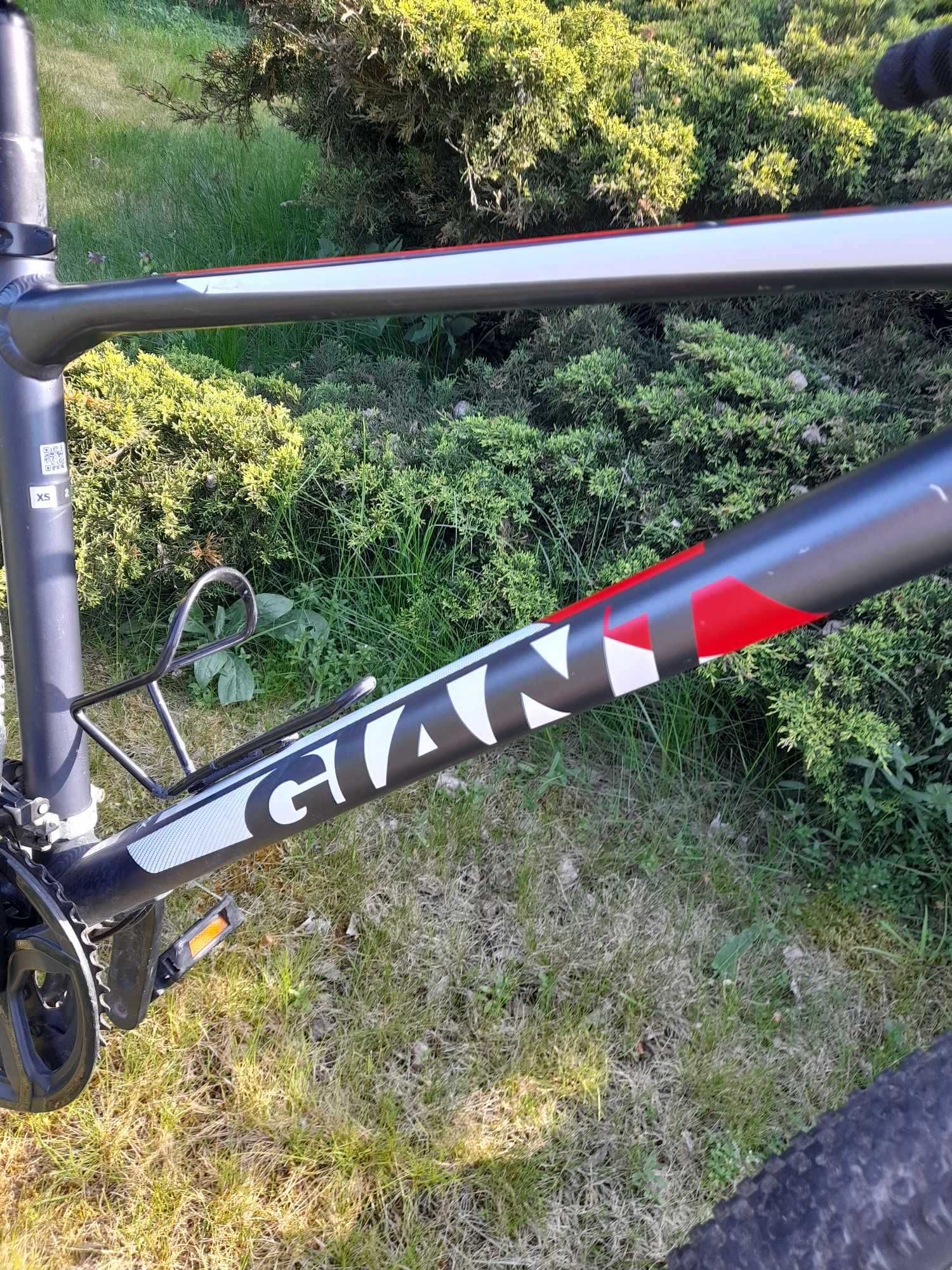 Rower Giant Atx2