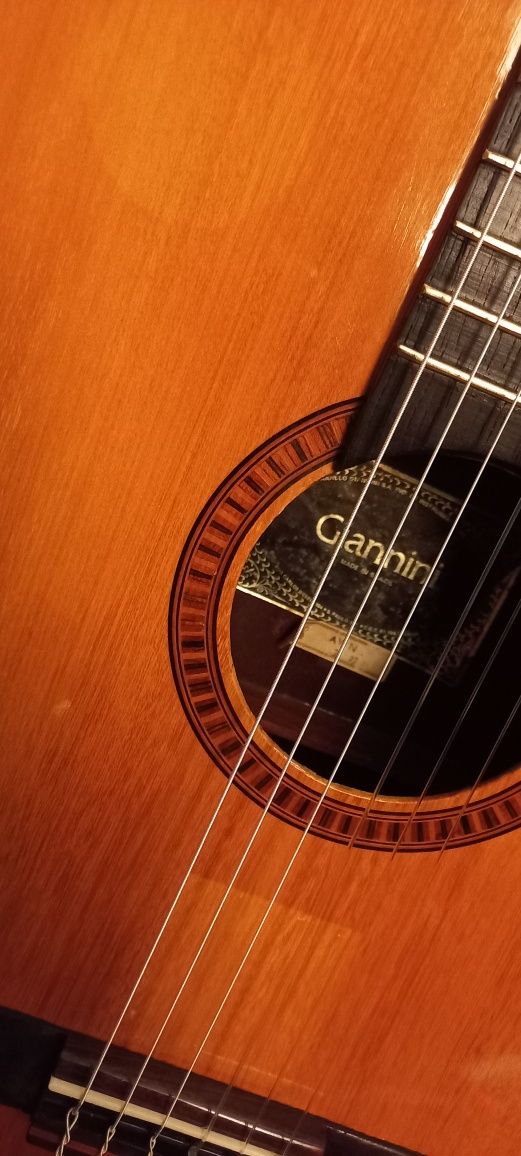 Guitarra Clássica Giannini AWN31