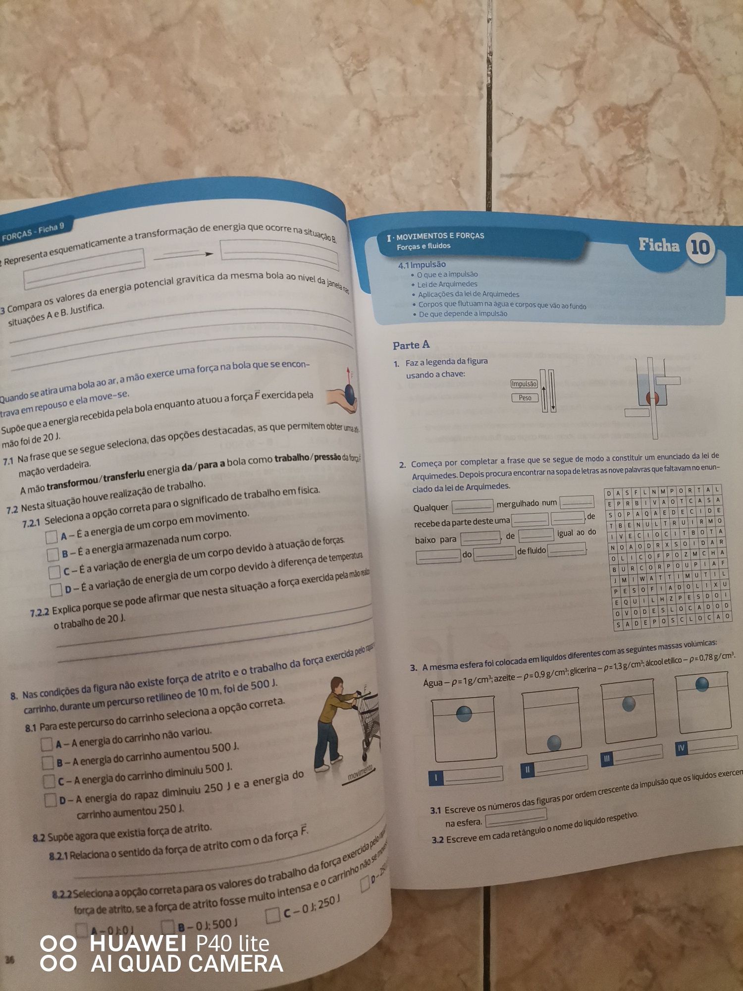 Livro escolar e fichas 9 ano Físico Química FQ