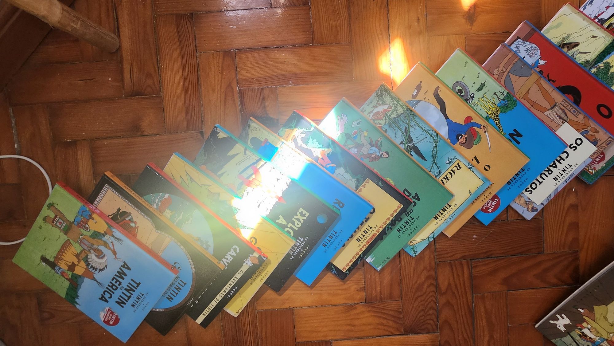 Livros Tintin PT e FR