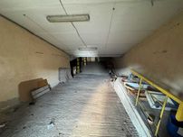 Здається в оренду велике підвальне приміщення