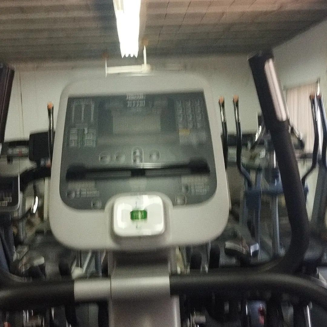Step Profissional Precor