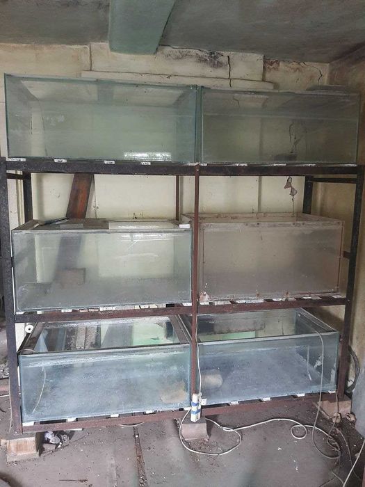 Продам аквариум/Продам акваріум