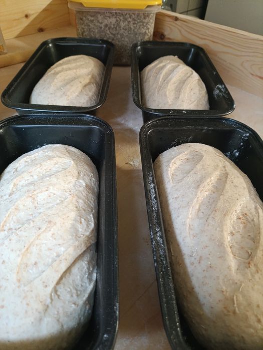 Rzemieślnicze  Chlebki  Orkiszowe 2sztuki