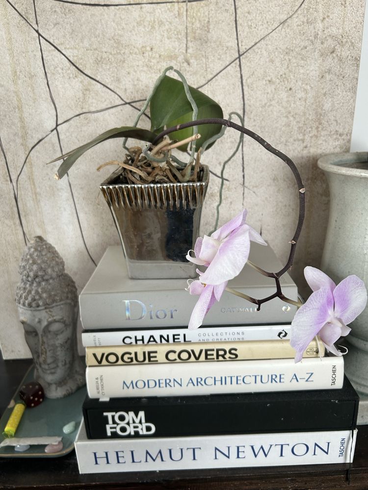 Storczyk orchidea z doniczkă
