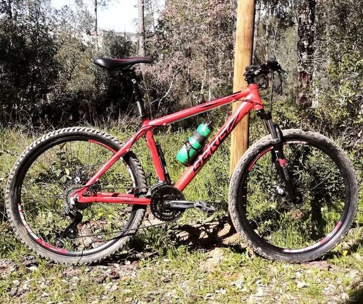 Bicicleta montanha Berg