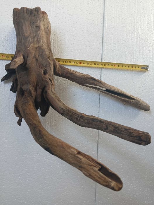 Коряга, топняк, декор в аквариум, тераріум середнього і більше розміру