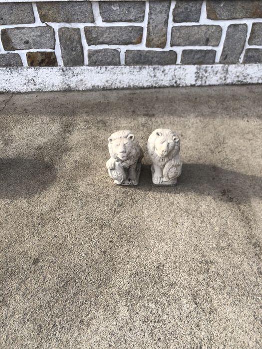 Leao dois pequenos em bom estado