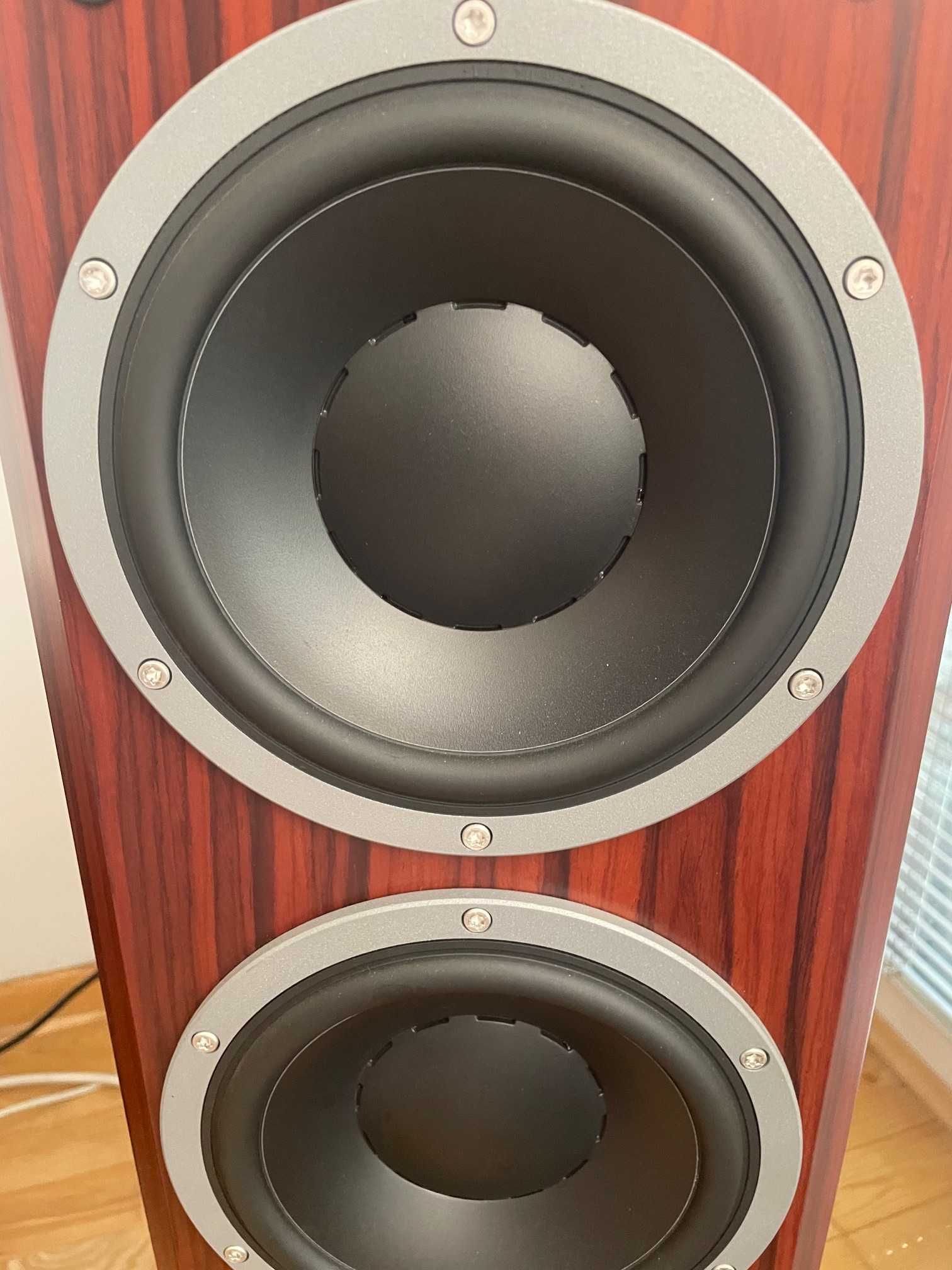 kolumny podłogowe Dynaudio Focus 340

Obserwuj