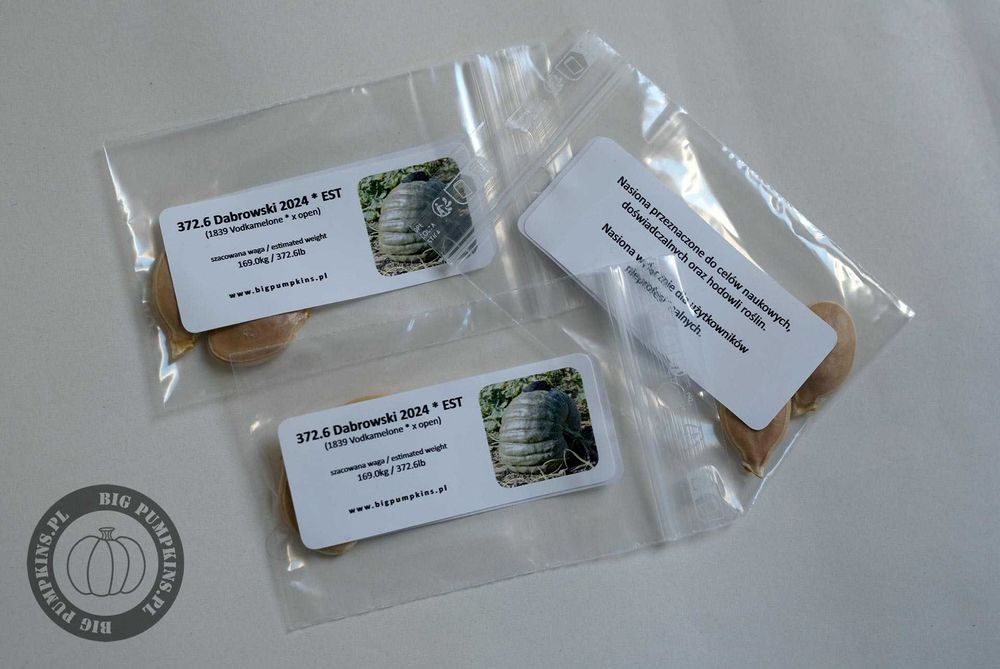 Dynia Olbrzymia - 237kg 169kg 136kg - Zestaw Nasion Dla Początkujących