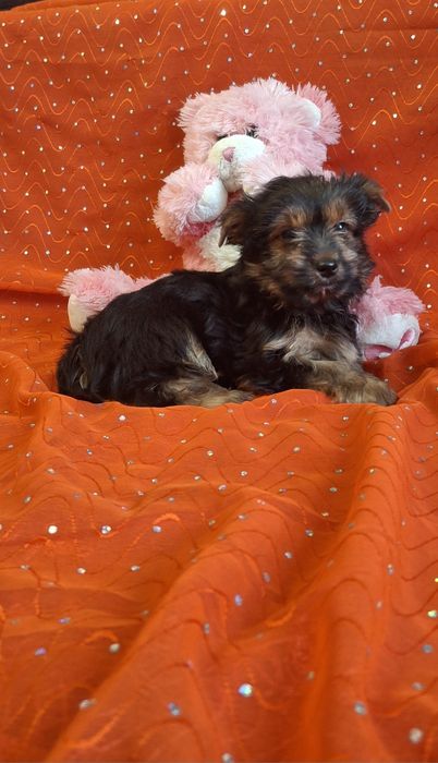 Дівчинка чикає на родину