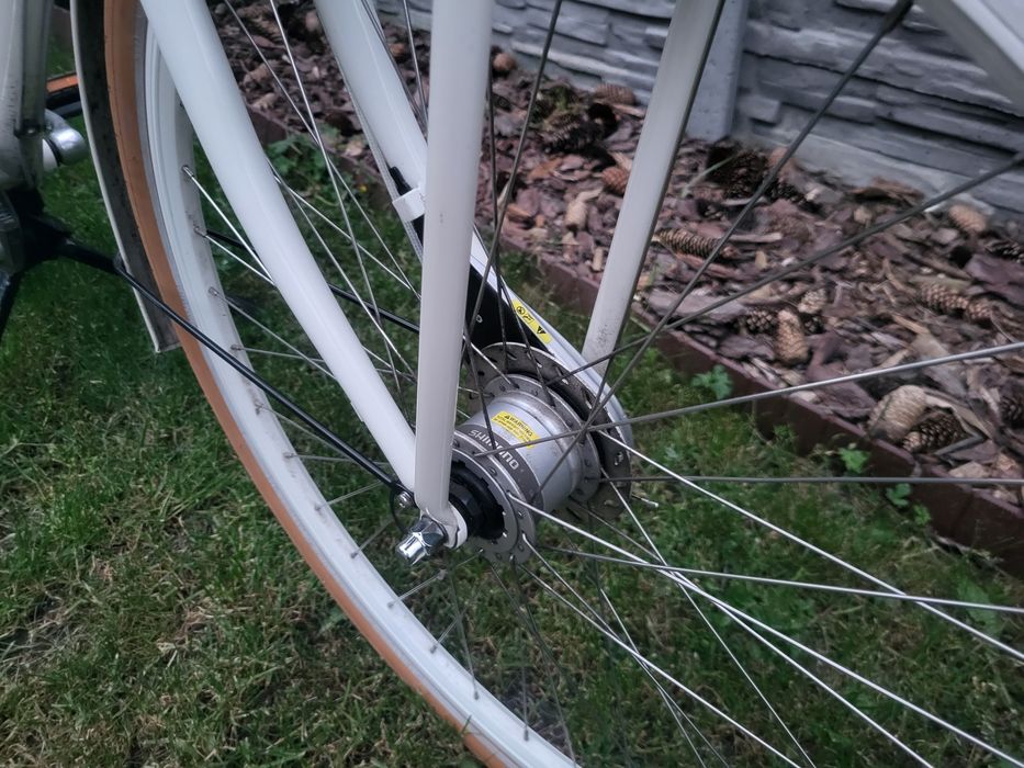 Rower BATAVUS Diva Dowóz