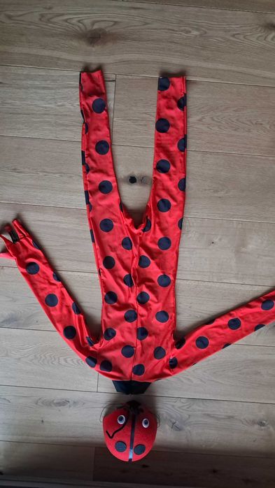 Strój bal karnawałowy Biedronka plus czapka