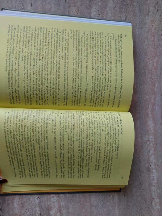 Słownik poprawnej polszczyzny. Практичний словник польської мови.