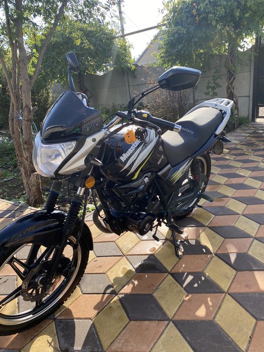 Мусстанг регион 150 / Musstang region