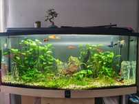 Akwarium 240L profilowane 120x40x50