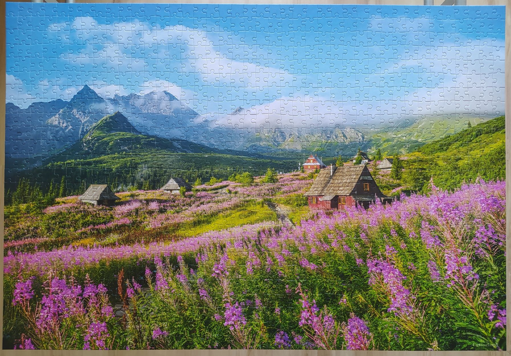 Puzzle 1000, Castorland, Hala Gąsienicowa, Tatry, Polska