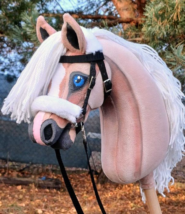 Izabelowaty konik Hobby Horse A4 + sprzęt