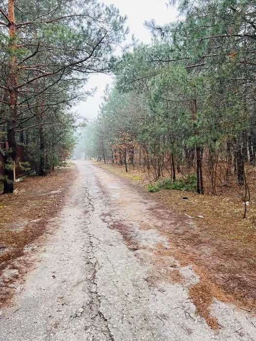 Продам участок в пос.Обуховка недалеко от леса и реки