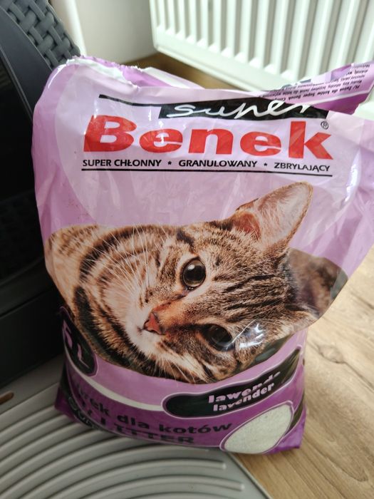 Kuweta dla kota solidna + żwirek