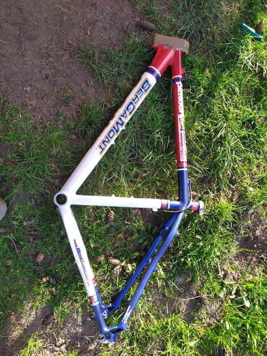 BERGAMONT PLATOON TEAM rama Alu Roz.19  Elite Custom Alloy FSA Polecam