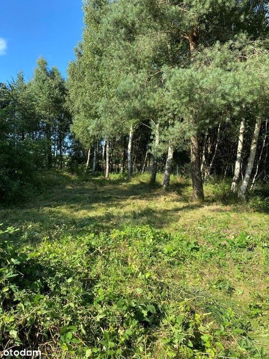 Na sprzedaż - piękna działka budowlana w Mieroszynie, blisko morza!