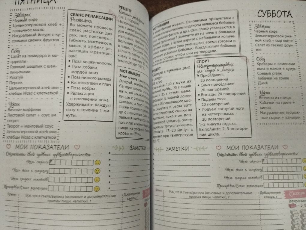 Ноль сахара за 12 недель. Мой блокнот.