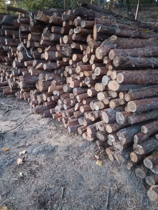 Drewno opałowe brzoza sosna