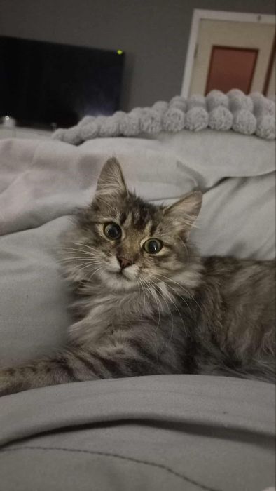 Дівчинка підліток в хороші руки