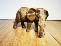 Słoń afrykański samica, Schleich 14761