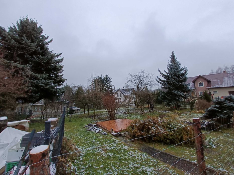 Usługi ogrodnicze, porządkowanie działek, wycinka