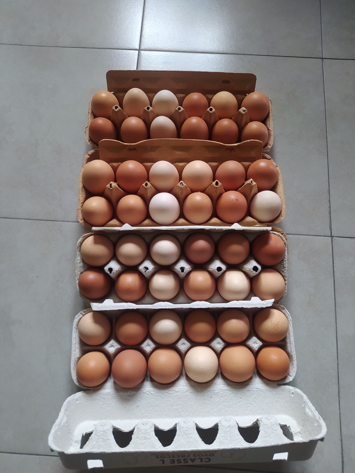 Ovos M/L, Galinhas Caseiras, Ar livre Alimentação saudável