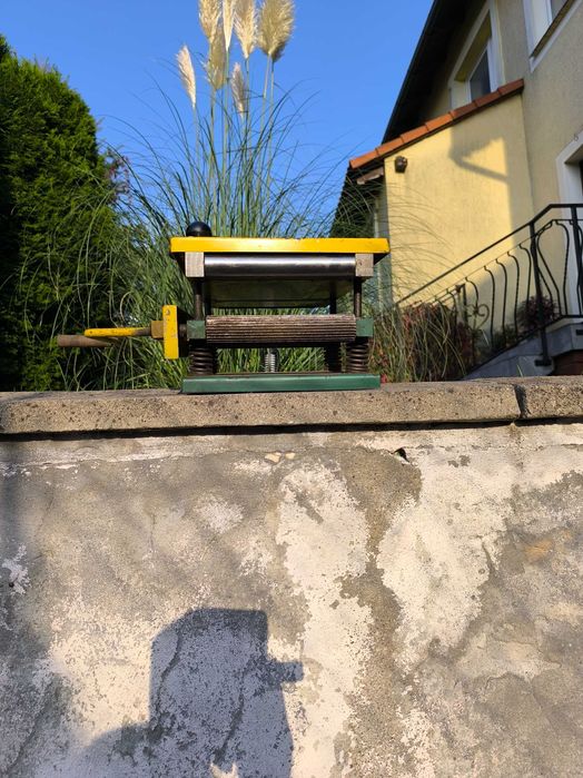 Piła Grubościowa  Polska