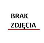 4x Felgi 16 5x130 m.in. do FIAT Ducato II 244 III 250 MERCEDES Sprinter RENAULT Master - BK473
