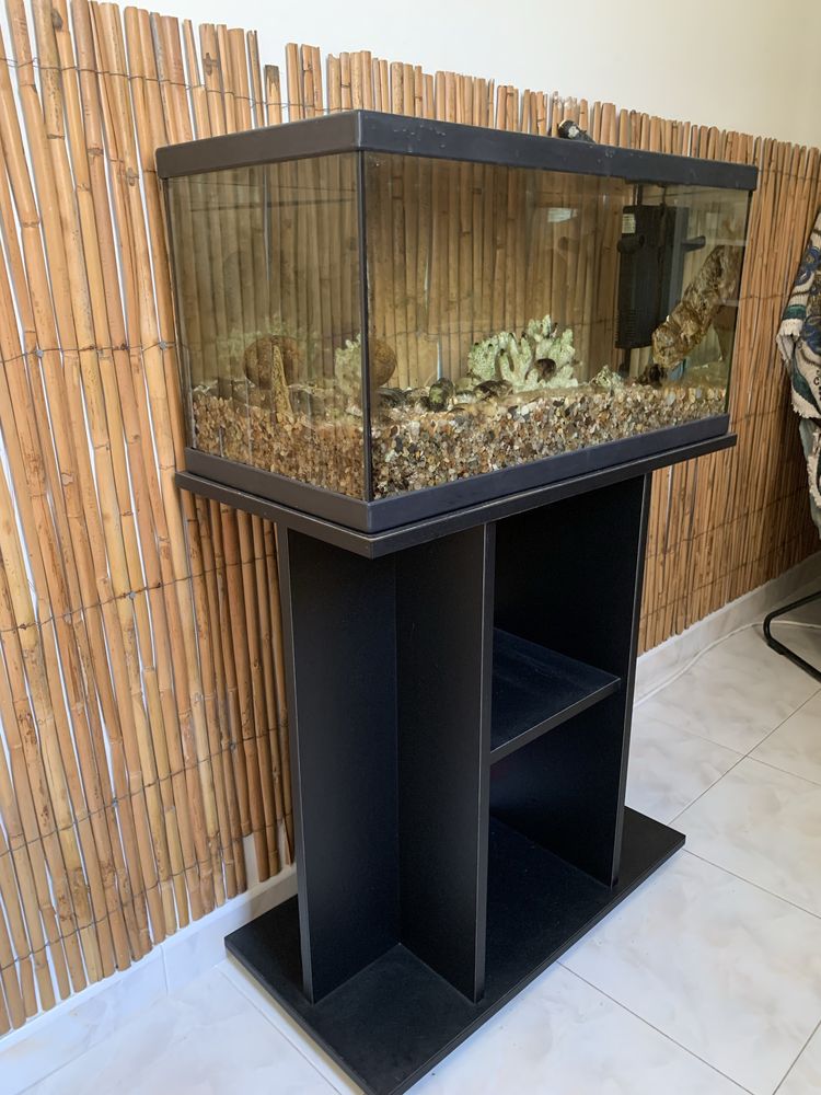 Vendo aquario usado com movel