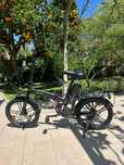 Bicicleta Youin Amsterdam