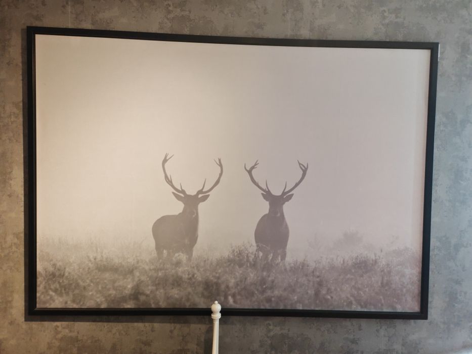 Obraz na płótnie 200\140