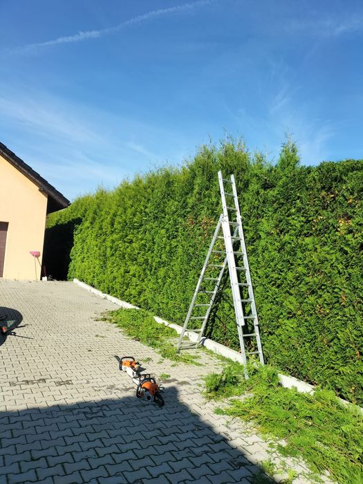 Przycinanie tui,krzewów i żywopłotów. Koszenie trawy .