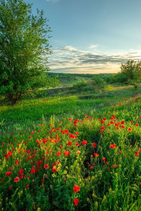 Продам ексклюзив ширококутний об'єктив Tamron 20-40, f: 2.7-3.5 Nikon