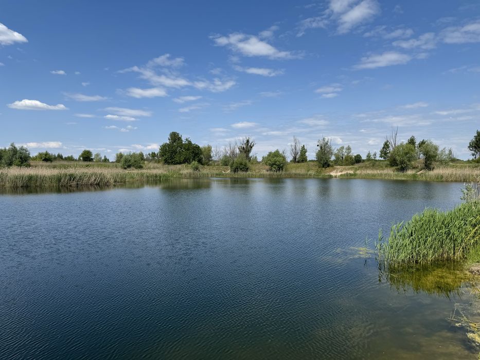 Продаж Ділянки Петрушки 10 соток