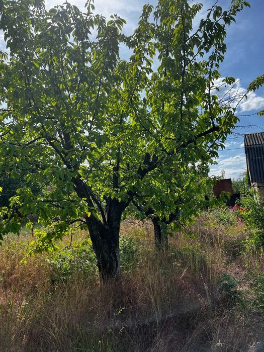 Продам дачу Ятрань кооператив Сахаровский мост"