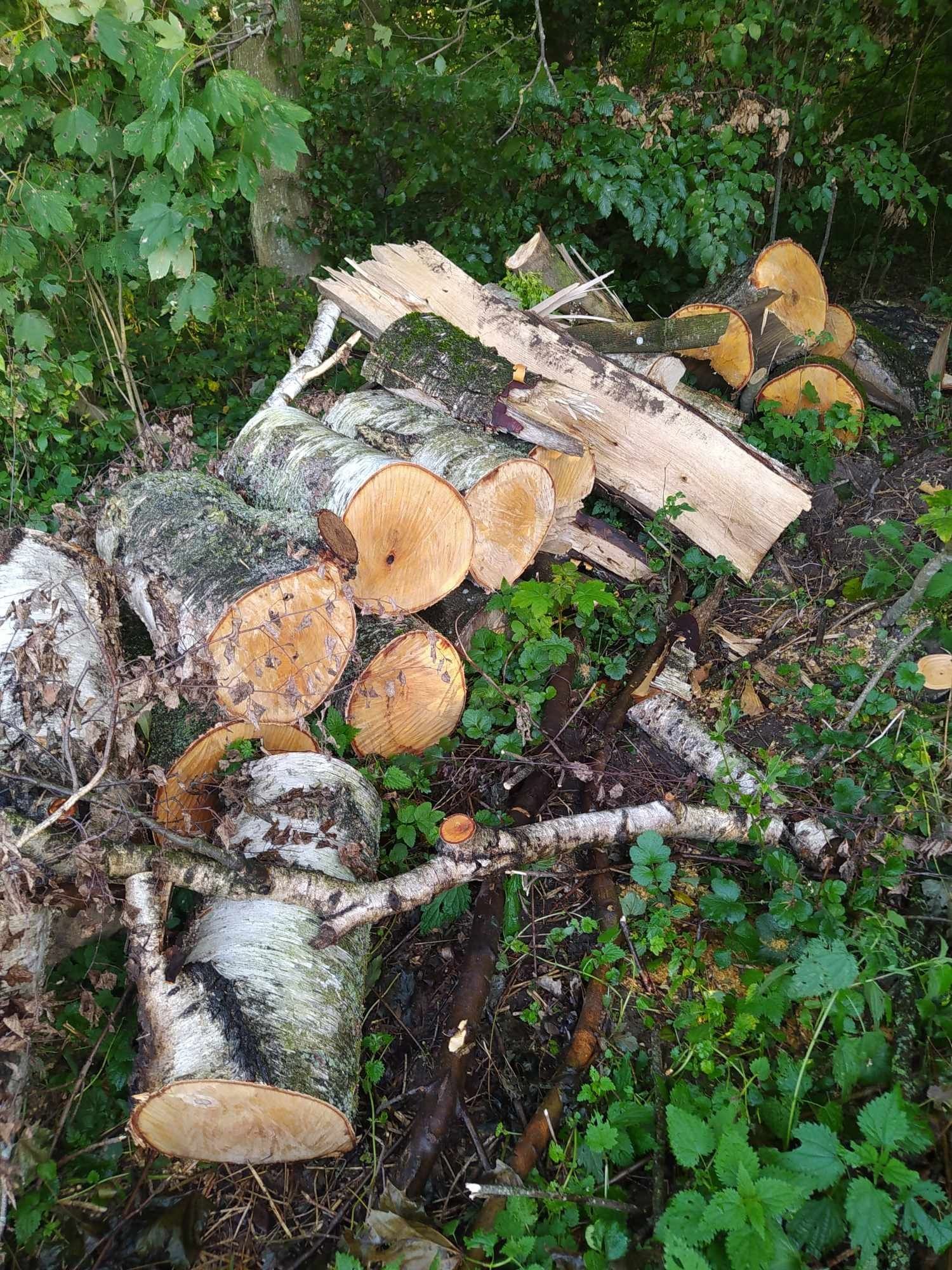 Sprzedam drewno/ drzewo opalowe