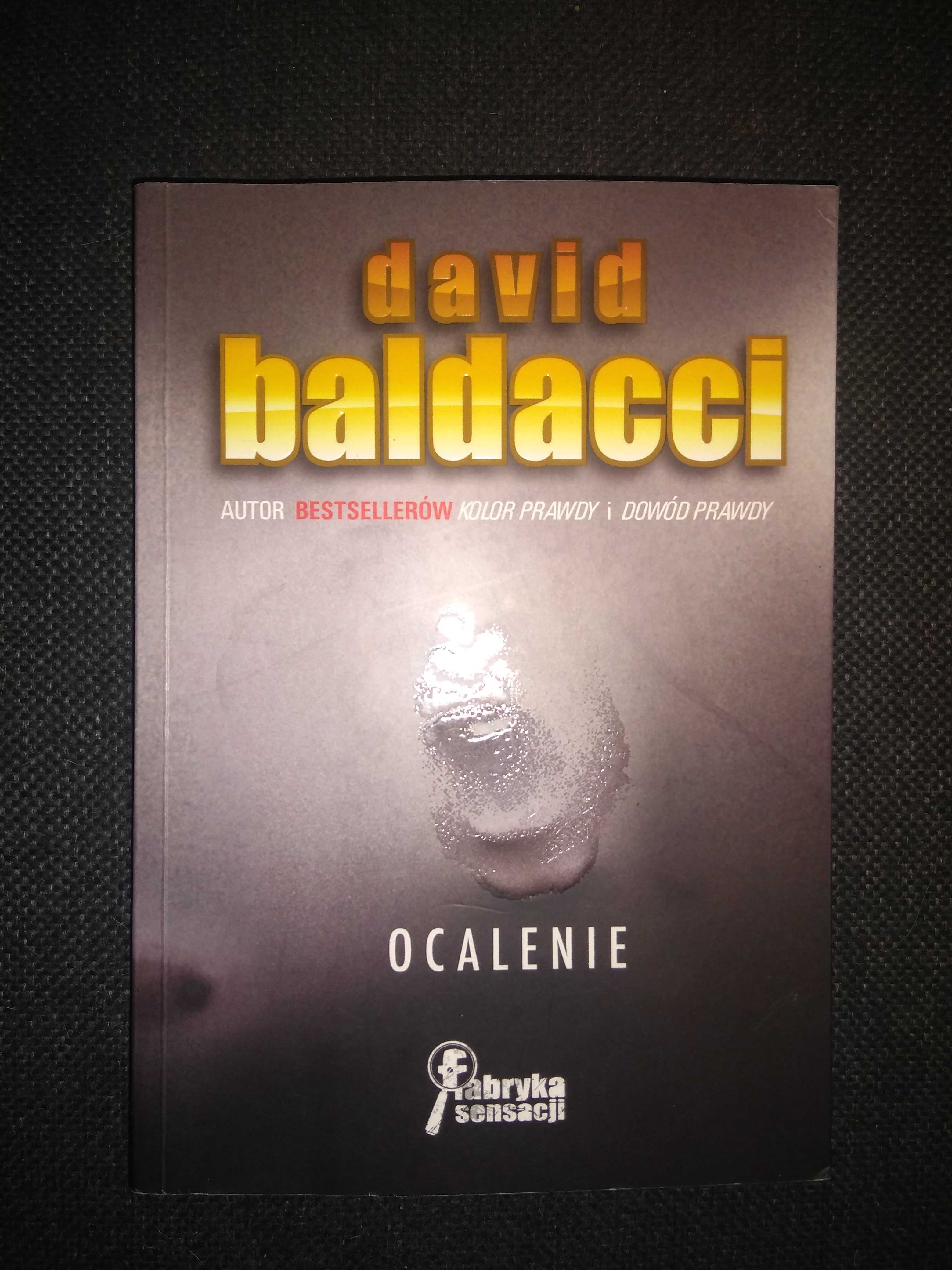 Dobra książka - Ocalenie David Baldacci (P46)
