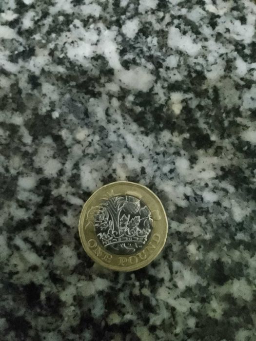 moeada de one pound de 2016 libra de elisabeth